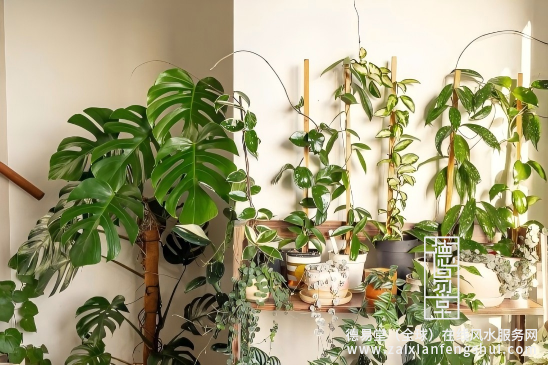 屏幕截图 2025-12-15 170849.png