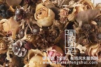 1769737969693593.jpg t01ff5f051795889f44.jpg