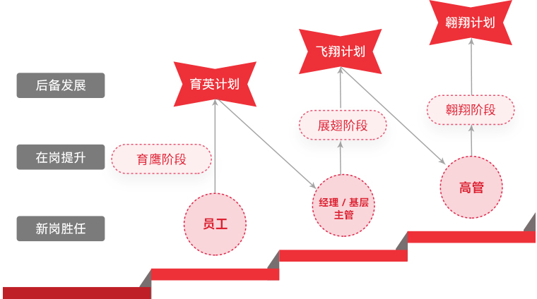 赢咖8 "雄鹰计划"人才梯队培养